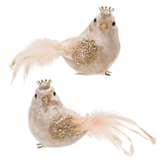 PAJARITO REAL