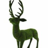 11.8" VENADO VERDE