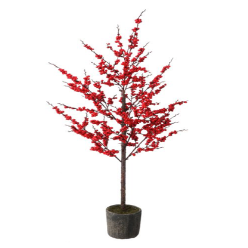 ARBOL DE BAYAS / BERRYS ROJAS EN MACETA