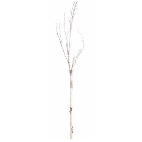 PALO DE MADERA BLANCO