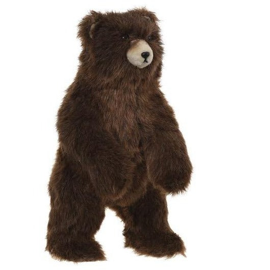 OSO CAFÉ DE PELO LARGO