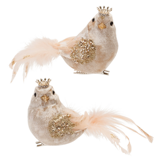 PAJARITO REAL
