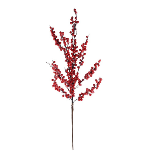 MINI BERRY 24"
